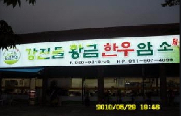 Gangjin Deulgeum Hanwoo cow