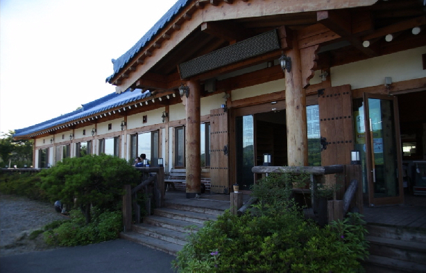 Blue roof tiles