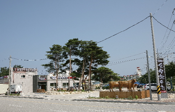 Solhyang Gangneung Hanwoo Farming Cooperative Corporation
